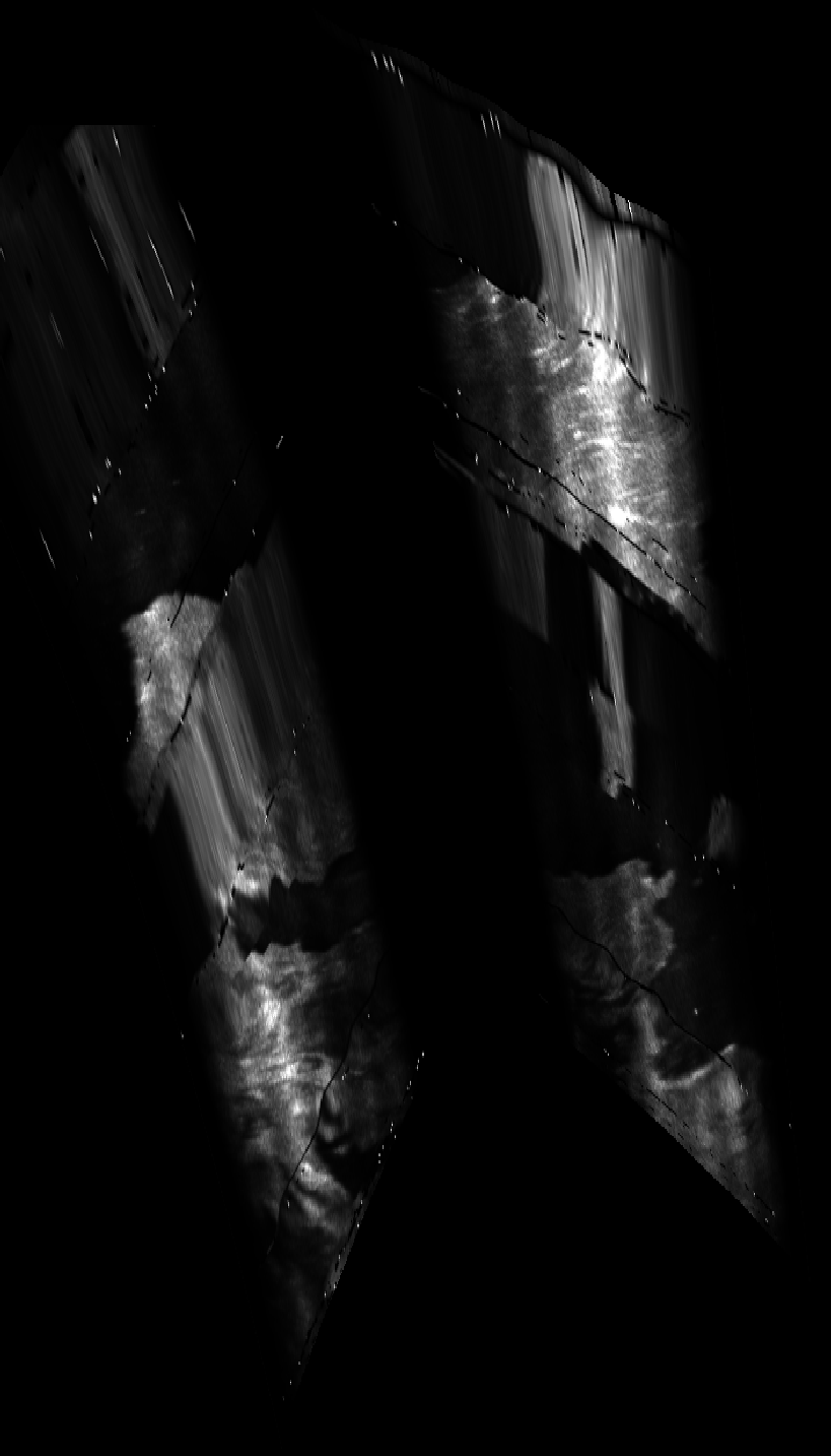 ascat_grayscale_proj_backward.png